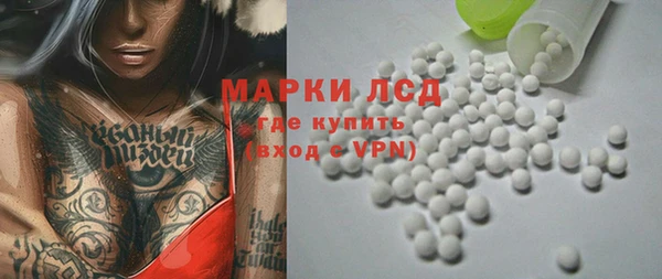 индика Алексин