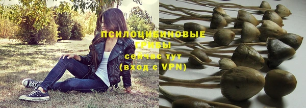 PSILOCYBIN Абинск