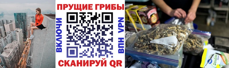 MEGA ТОР  где купить наркоту  Терек  Галлюциногенные грибы GOLDEN TEACHER 